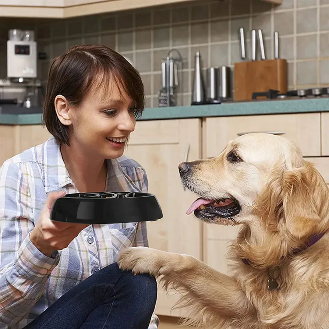 PetAffairs Interactive Basketball Slow Feeding Dog Bowl