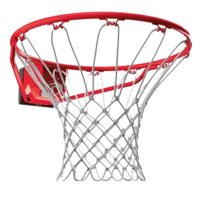 Pro Slam Basketball Rim